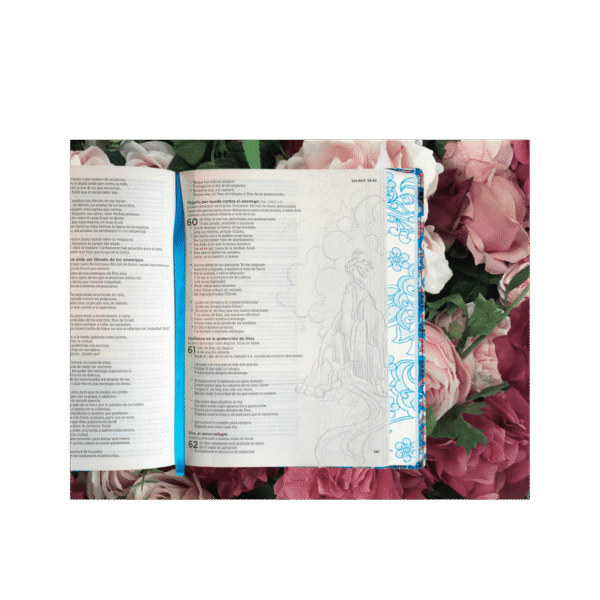 Biblia Reina Valera 1960 de Apuntes, Edición ilustrada - Tela en rosado y azul - Imagen 2